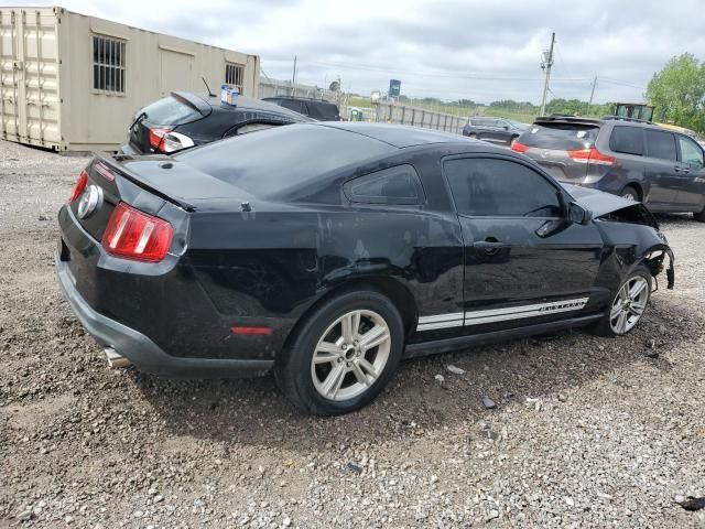 2010 Ford Mustang