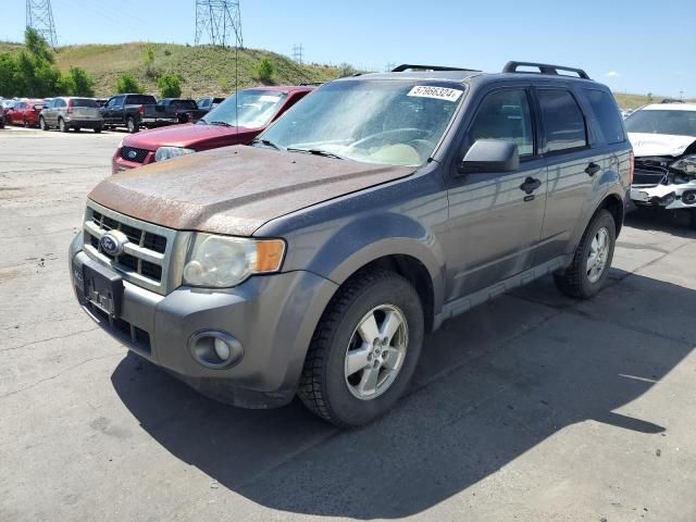 2010 Ford Escape XLT