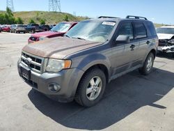 Ford Escape xlt salvage cars for sale: 2010 Ford Escape XLT