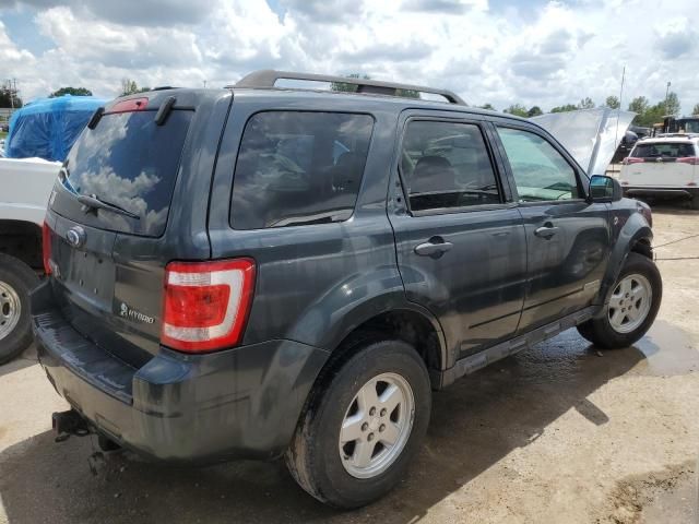 2008 Ford Escape HEV