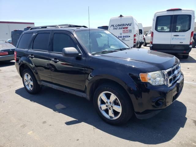 2009 Ford Escape XLT