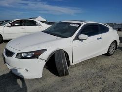 Salvage cars for sale at Antelope, CA auction: 2010 Honda Accord EXL