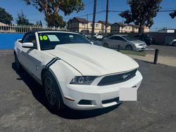 Ford Mustang salvage cars for sale: 2010 Ford Mustang