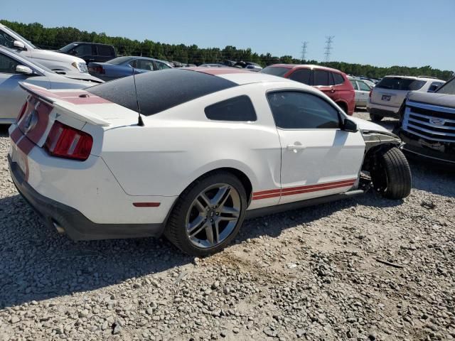 2010 Ford Mustang Shelby GT500