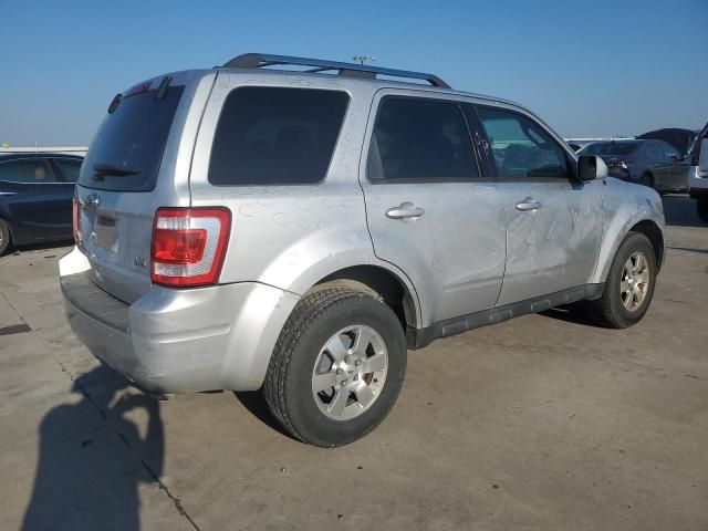 2011 Ford Escape Limited