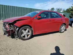 2013 Toyota Camry L en venta en Finksburg, MD