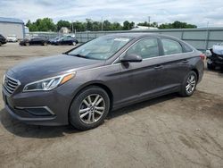 Salvage cars for sale at Pennsburg, PA auction: 2016 Hyundai Sonata SE