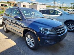Salvage cars for sale at Rocky View County, AB auction: 2014 Volkswagen Tiguan S