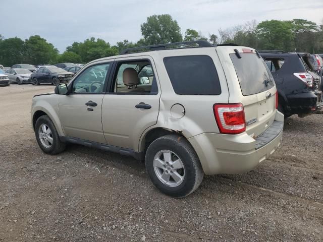 2010 Ford Escape XLT