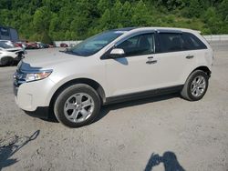 Carros salvage sin ofertas aún a la venta en subasta: 2011 Ford Edge SEL