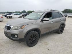 Salvage cars for sale at San Antonio, TX auction: 2011 KIA Sorento EX