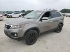 2011 KIA Sorento EX