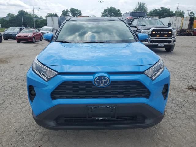 2019 Toyota Rav4 XLE