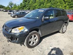 Salvage cars for sale at Waldorf, MD auction: 2012 Toyota Rav4