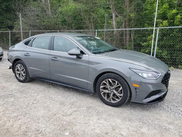 2020 Hyundai Sonata SEL