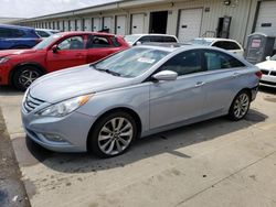 Hyundai Sonata Vehiculos salvage en venta: 2012 Hyundai Sonata SE