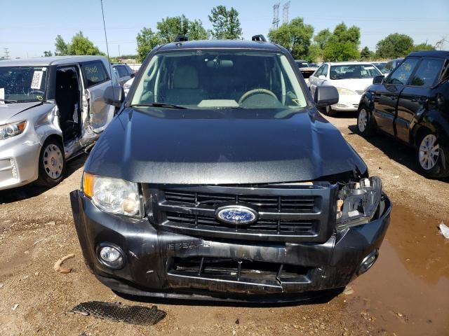 2010 Ford Escape Hybrid