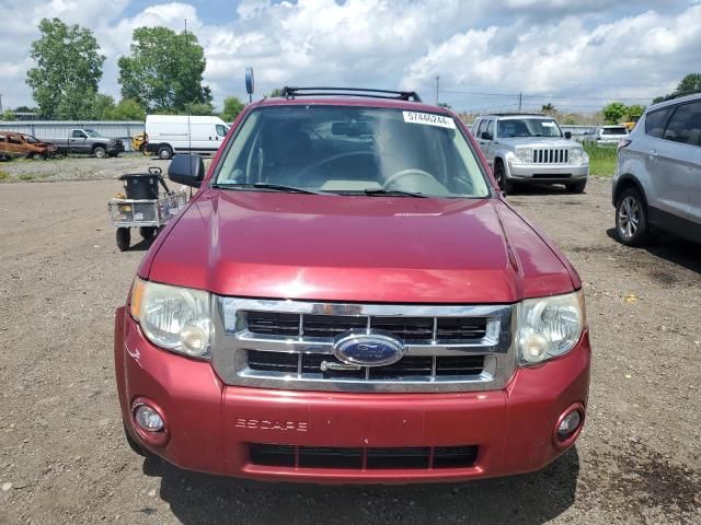 2008 Ford Escape XLT