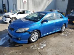 Toyota salvage cars for sale: 2010 Toyota Corolla Base