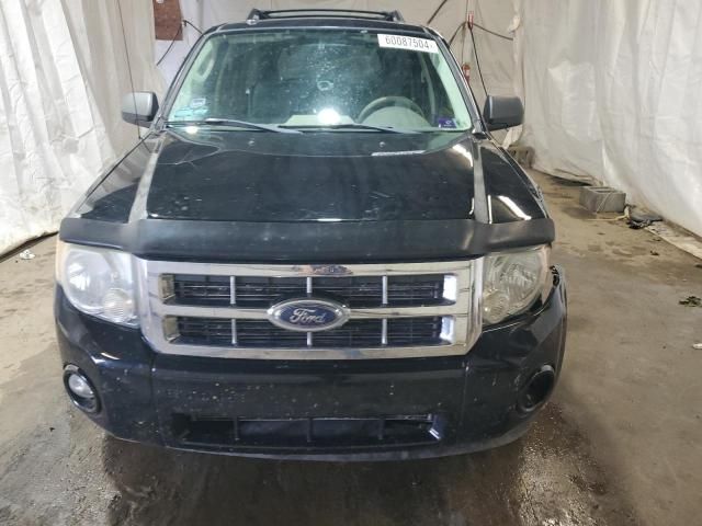 2009 Ford Escape XLT