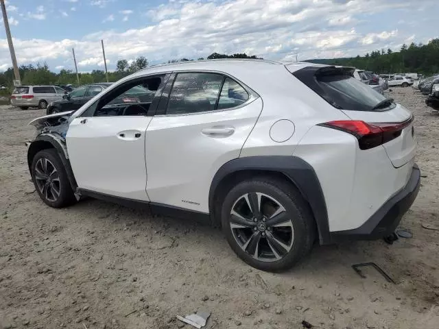 2020 Lexus UX 250H