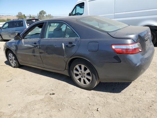 2009 Toyota Camry Hybrid