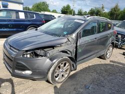 Salvage cars for sale from Copart Midway, FL: 2014 Ford Escape Titanium