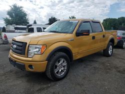 Vehiculos salvage en venta de Copart East Granby, CT: 2009 Ford F150 Supercrew