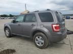 2010 Ford Escape Limited