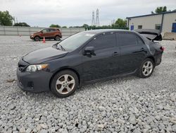 Toyota Corolla Base salvage cars for sale: 2013 Toyota Corolla Base