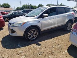 2013 Ford Escape SEL en venta en Columbus, OH