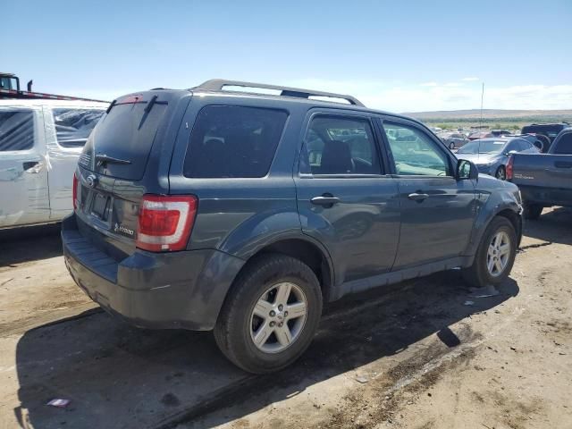 2008 Ford Escape HEV