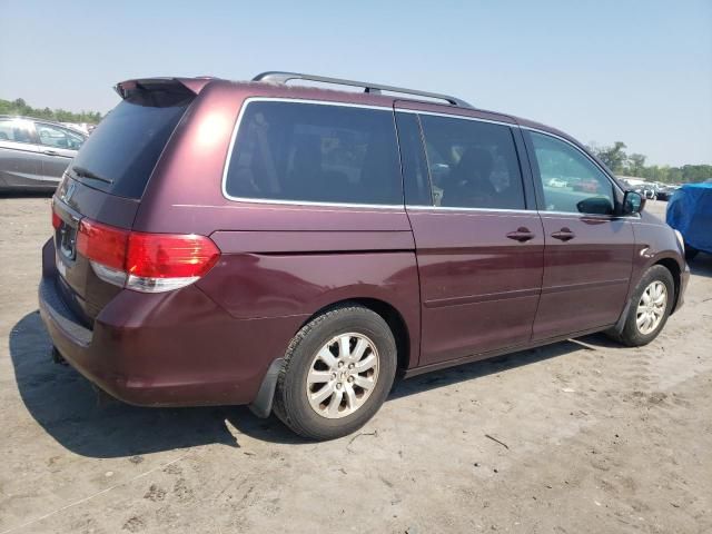 2010 Honda Odyssey EXL