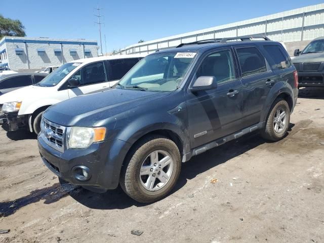 2008 Ford Escape HEV