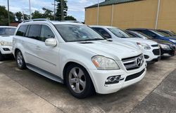 Salvage cars for sale at Lebanon, TN auction: 2010 Mercedes-Benz GL 450 4matic