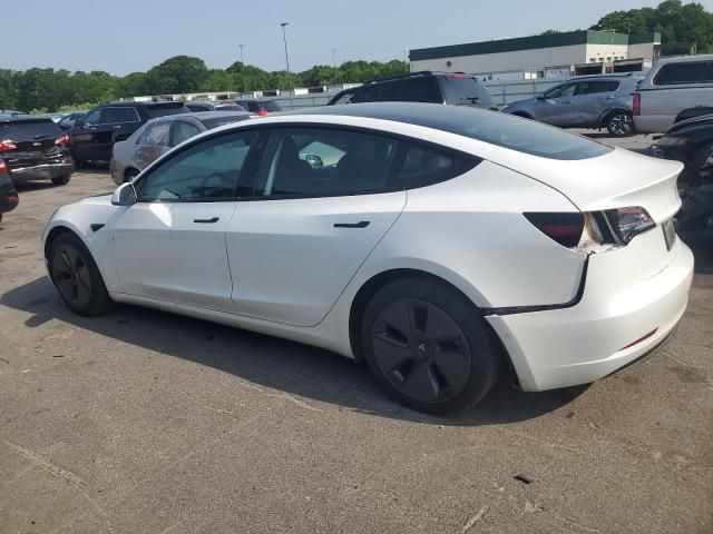 2021 Tesla Model 3