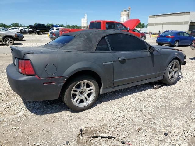 2003 Ford Mustang Cobra SVT