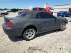 2003 Ford Mustang Cobra SVT