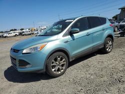 Buy Salvage Cars For Sale now at auction: 2013 Ford Escape SEL