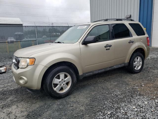 2011 Ford Escape XLT