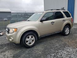 Ford salvage cars for sale: 2011 Ford Escape XLT