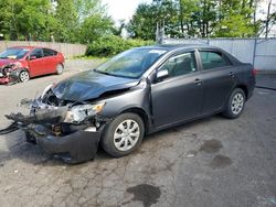 Salvage cars for sale at Portland, OR auction: 2009 Toyota Corolla Base