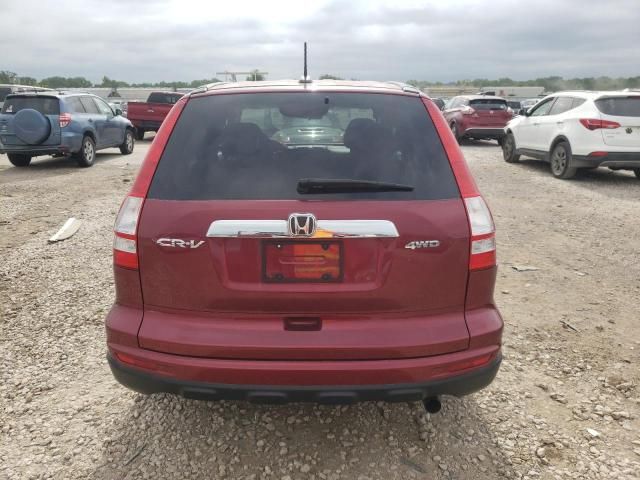 2010 Honda CR-V EXL