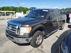 Ford Vehiculos salvage en venta: 2009 Ford F150 Supercrew