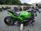 2023 Kawasaki EX650 P