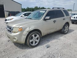 Salvage cars for sale at Lawrenceburg, KY auction: 2010 Ford Escape XLT