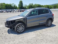 Vehiculos salvage en venta de Copart Grantville, PA: 2014 Volkswagen Tiguan S