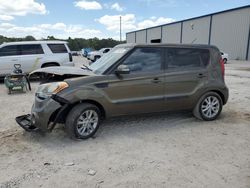 Salvage cars for sale at Apopka, FL auction: 2013 KIA Soul +