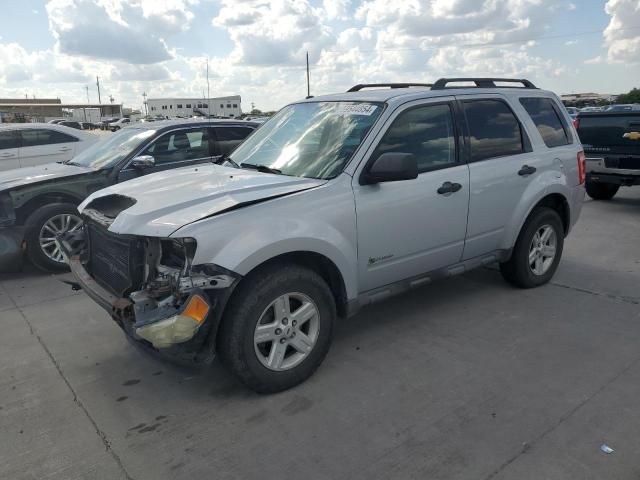 2009 Ford Escape Hybrid