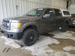 Salvage cars for sale from Copart Franklin, WI: 2012 Ford F150 Supercrew